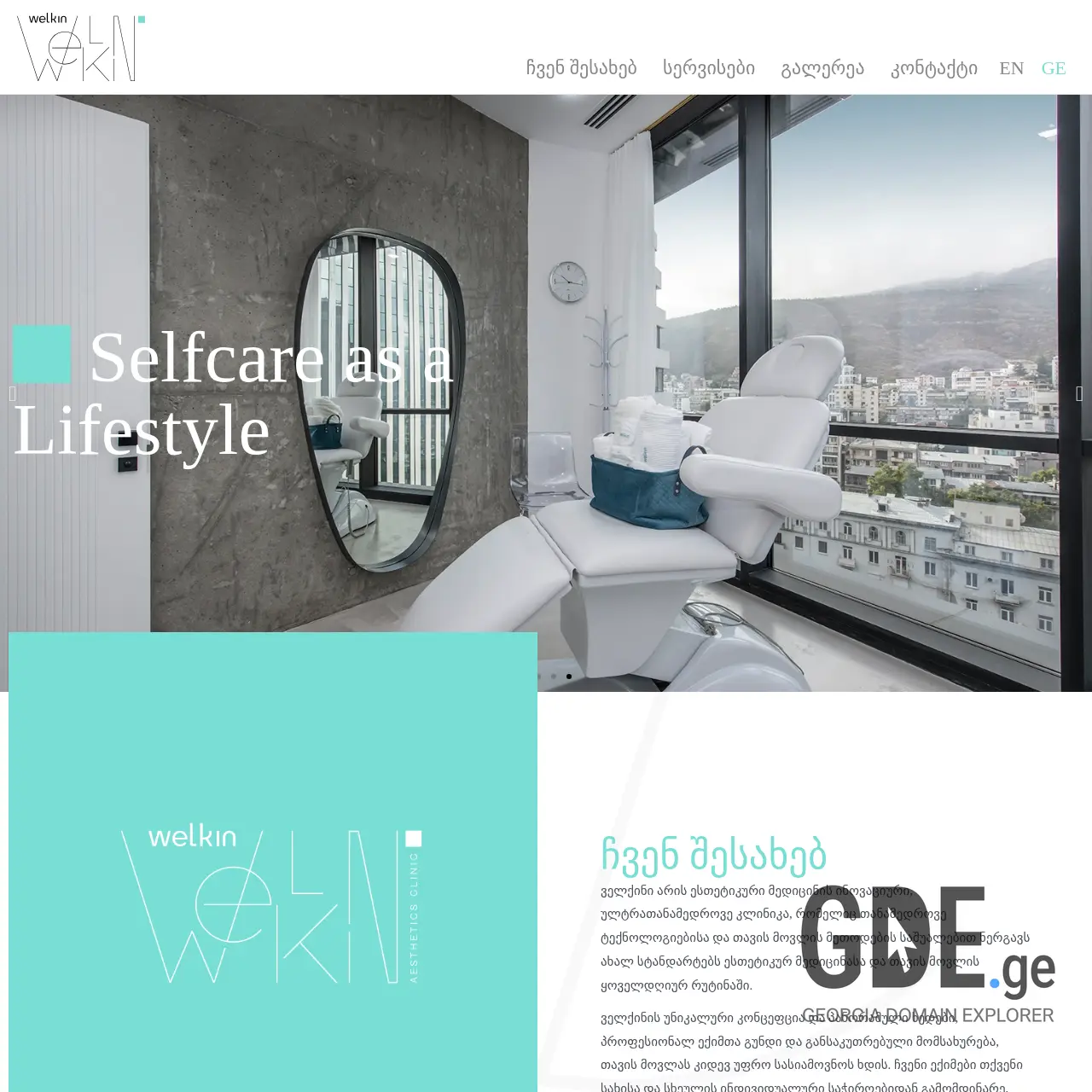 Screenshot of the site welkin.ge at 2026-03-27