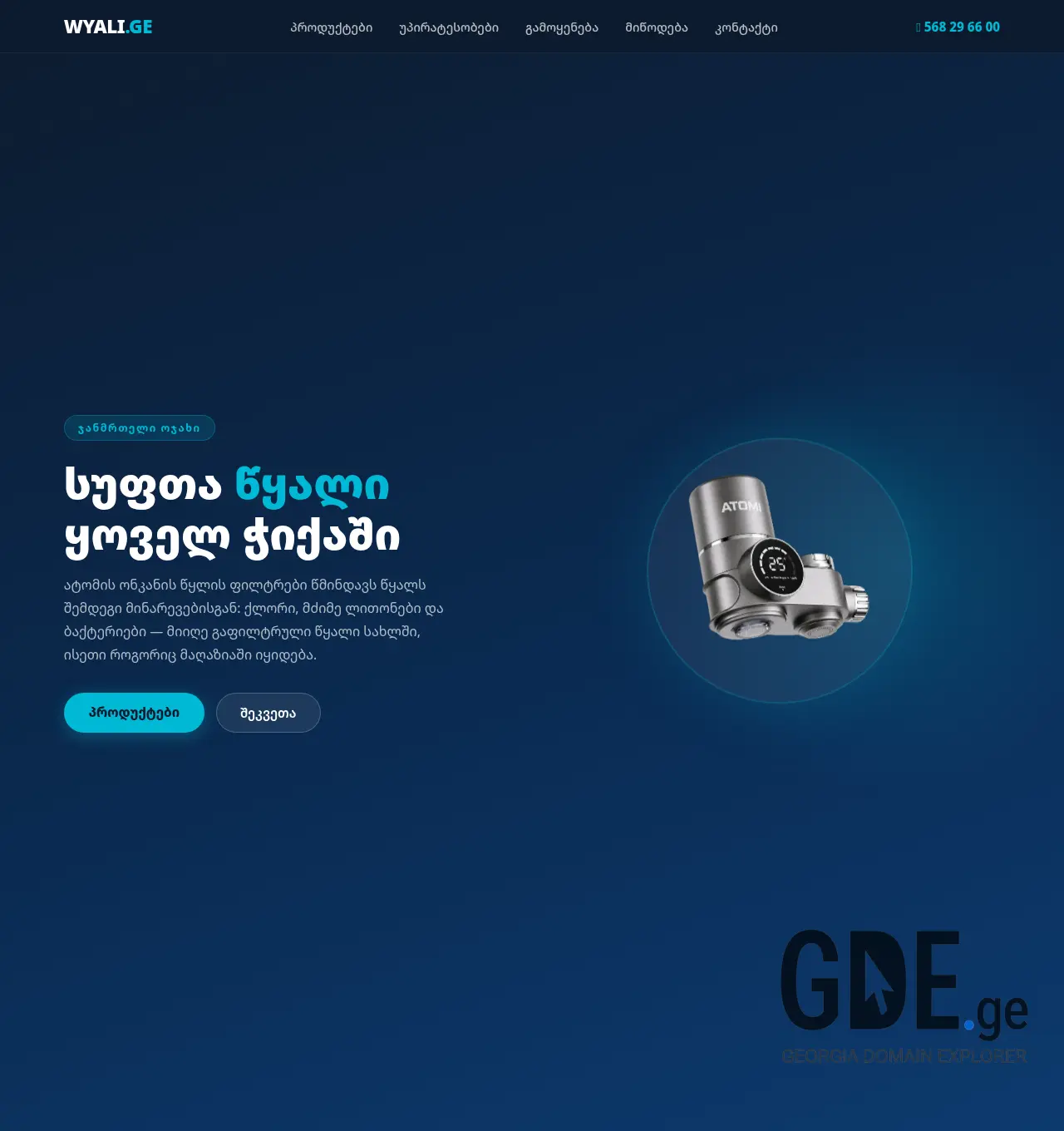 Screenshot of the site wyali.ge at 2026-05-01