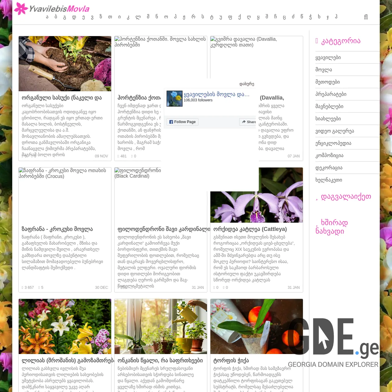 Screenshot of the site yvavilebi.ge at 2026-03-01