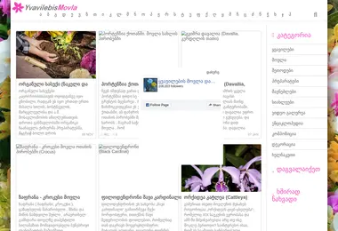 Preview from 01.03.2026