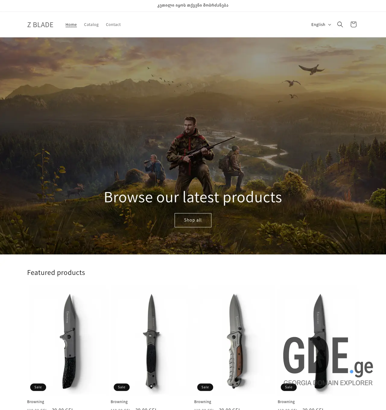 Screenshot of the site zblade.ge at 2026-06-06
